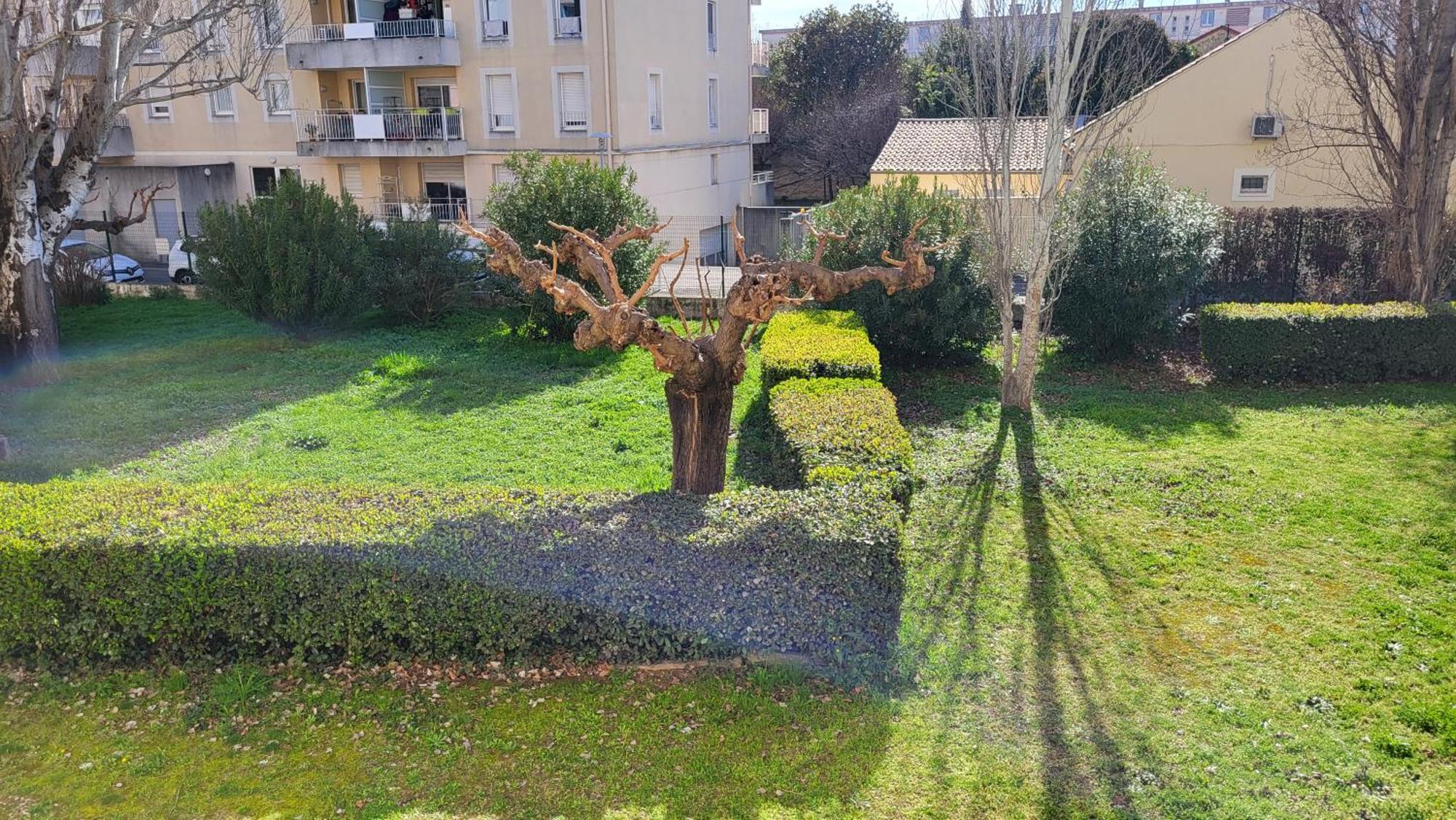 Les Tourterelles D'Avignon 2 Apartment ภายนอก รูปภาพ
